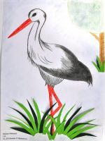 Minkanič Nikolas.jpg